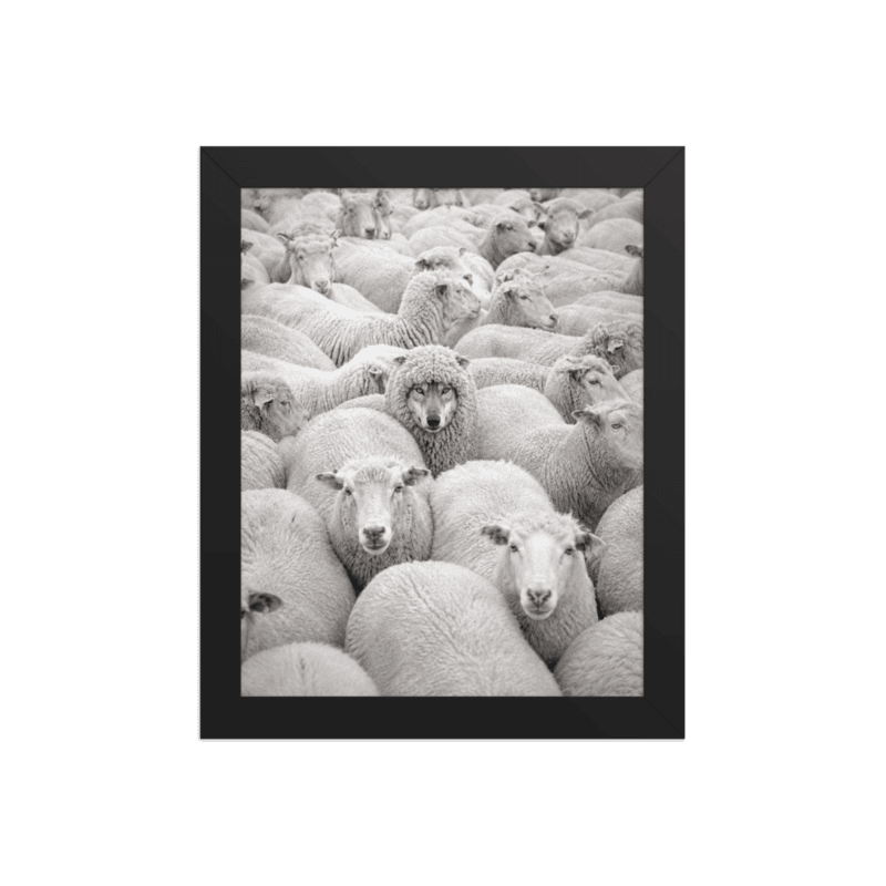 PROTOTOKOS — Wolf in Sheep's Clothing Framed Poster